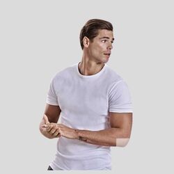 520 Tee Jays T-shirt uomo interlock 100% cotone organico 220 gr